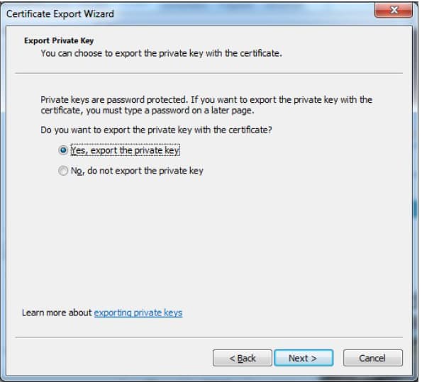 Folgen Sie den Anweisungen des Assistenten und übernehmen die gewünschten Optionen Screenshot des 'Export Private Key'-Schrittes im 'Certificate Export Wizard'.