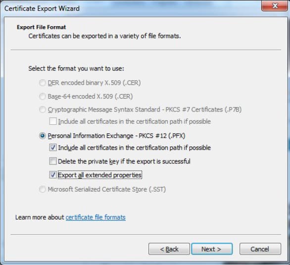 Folgen Sie den Anweisungen des Assistenten und übernehmen die gewünschten Optionen Screenshot des 'Export File Format'-Schrittes im 'Certificate Export Wizard'.