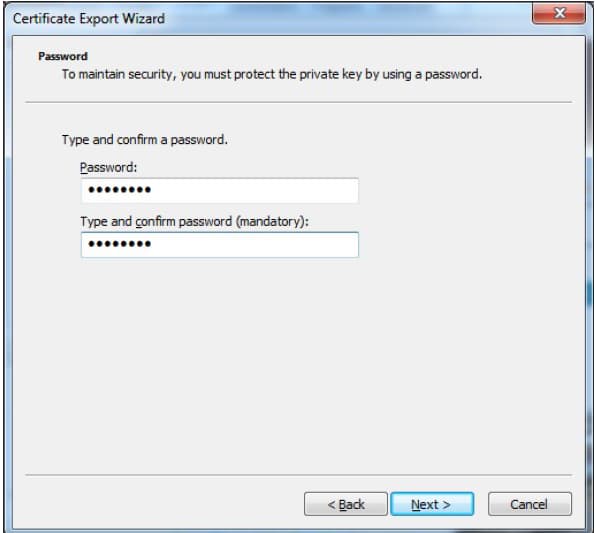 Folgen Sie den Anweisungen des Assistenten und übernehmen die gewünschten Optionen Screenshot des 'Password'-Schrittes im 'Certificate Export Wizard'.