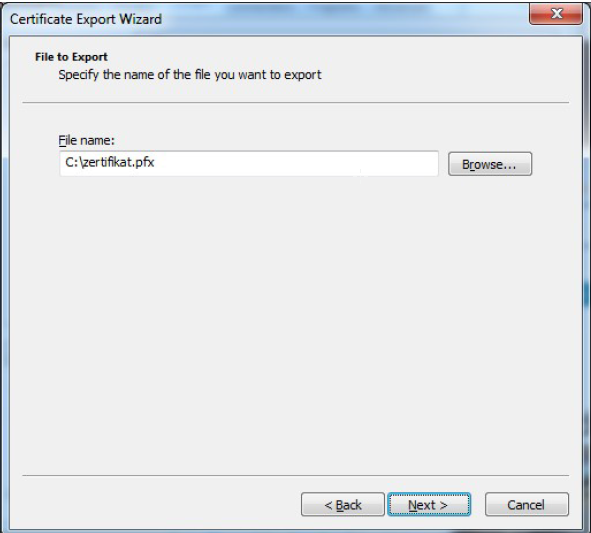Folgen Sie den Anweisungen des Assistenten und übernehmen die gewünschten Optionen Screenshot des 'File to Export'-Schrittes im 'Certificate Export Wizard'.