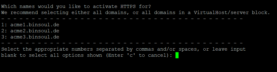 certbot-domain