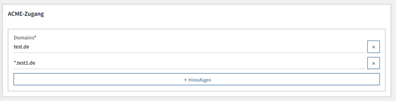 Screenshot des Formulars „ACME-Zugang“ mit eingetragenen Domains.